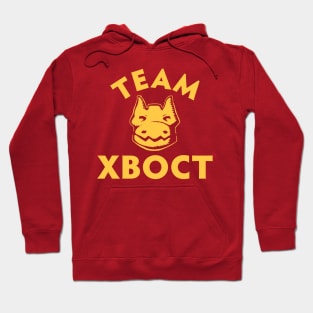 Dota 2 - Team Xboct All-Star Match Hoodie